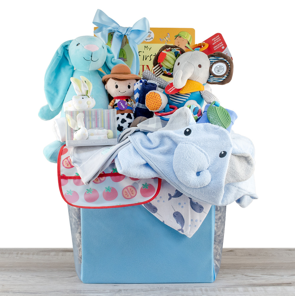 blue gift basket with Washcloths, book set, animal themed towel, Skip Hop Bandana and blankets